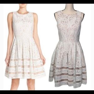 Eliza J Lace Fit & Flare Dress